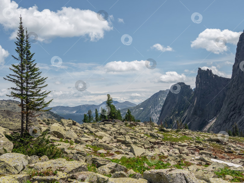 Скачать луг с большими камнями на склоне холма фотосток Ozero