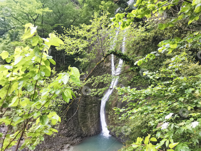 Скачать Россия, Краснодарский край, Сочи, Май 2024. Ореховский водопад фотосток Ozero