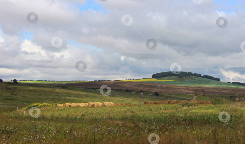 Скачать луга фотосток Ozero