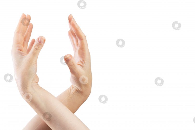 Скачать Две красивые женские руки соединяются друг с другом на белом фоне фотосток Ozero