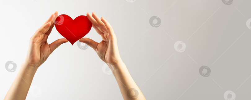 Скачать Концепция здравоохранения и медицины. Осведомленность о СПИДе. Женская рука, держащая красное сердце на белом фоне фотосток Ozero