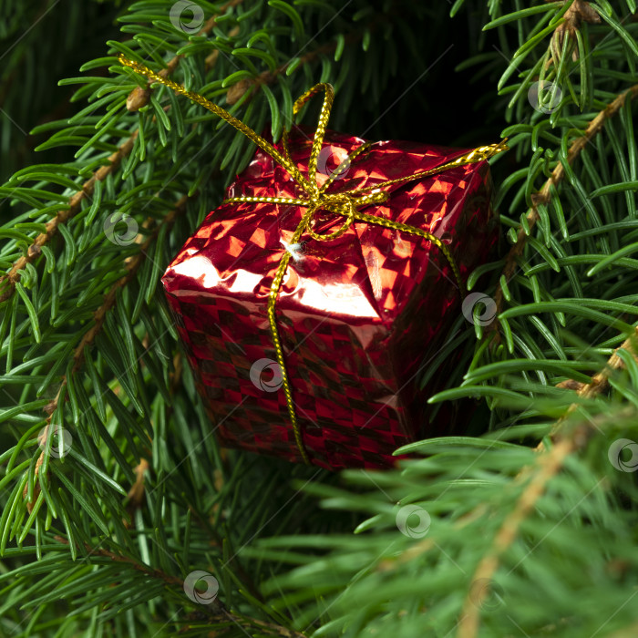Скачать Рождественский подарок на фоне рождественской елки крупным планом фотосток Ozero