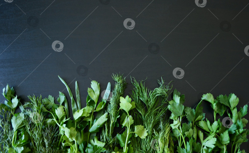 Скачать фотография зелень на фоне темного дерева, здоровая пища, веточки растений, дно фотосток Ozero