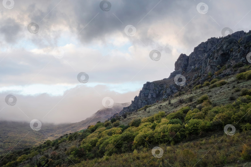 Скачать Дождливый и туманный вид на гору. фотосток Ozero