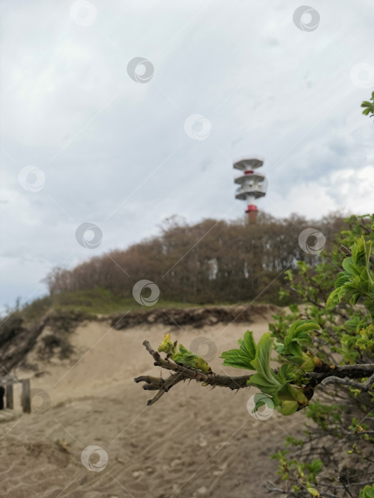 Скачать Маяк на берегу моря в лесу фотосток Ozero