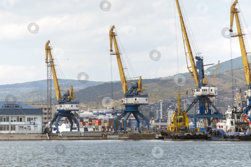 Скачать Новороссийск, Россия 18.08.2023 Портовые краны,Черноморский порт Краснодарский край Новороссийск фотосток Ozero