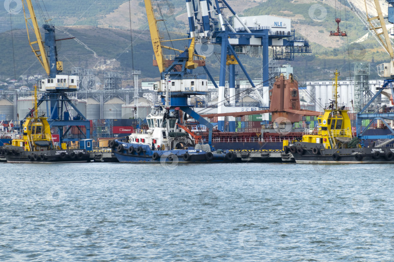 Скачать Новороссийск, Россия 18.08.2023 Портовые краны,Черноморский порт Краснодарский край Новороссийск фотосток Ozero