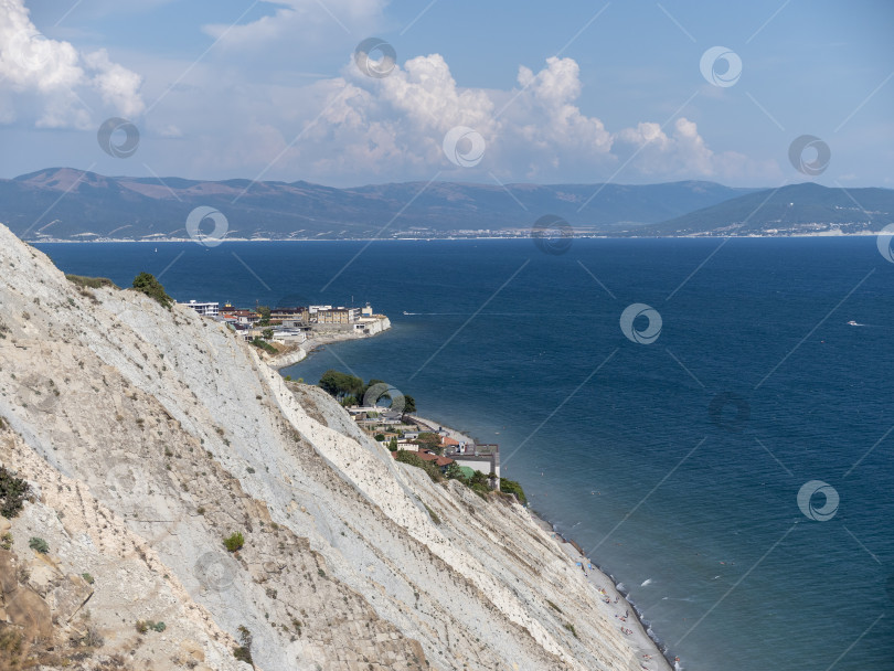 Скачать Ветви оливковых деревьев на фоне моря фотосток Ozero