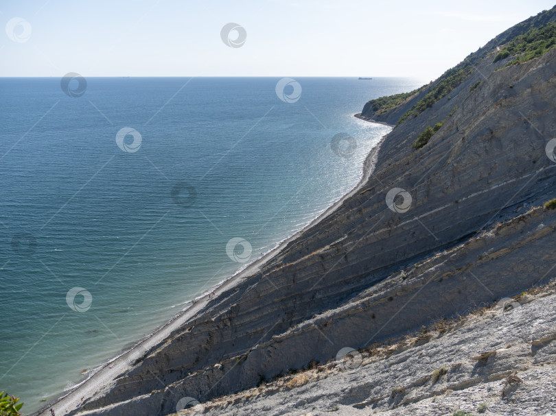 Скачать Ветви оливковых деревьев на фоне моря фотосток Ozero