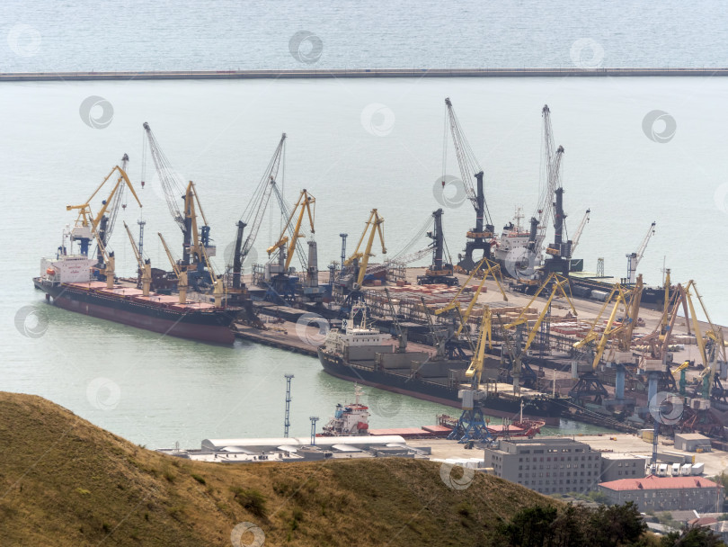 Скачать Новороссийск, Россия 18.08.2023 Портовые краны,Черноморский порт Краснодарский край Новороссийск фотосток Ozero