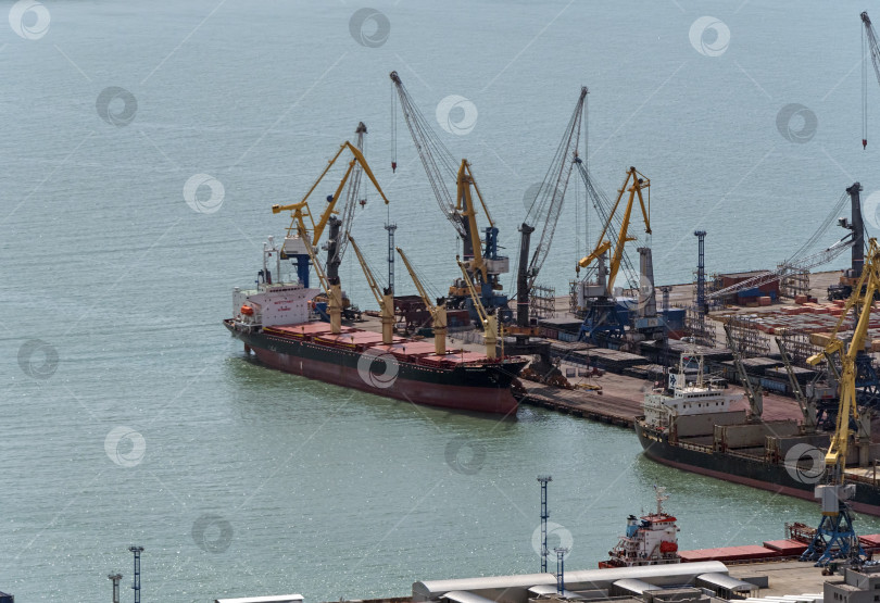 Скачать Новороссийск, Россия 18.08.2023 Портовые краны,Черноморский порт Краснодарский край Новороссийск фотосток Ozero