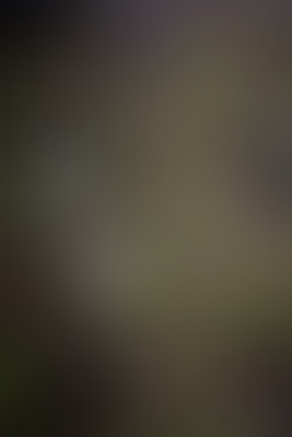 [object Object] undefined