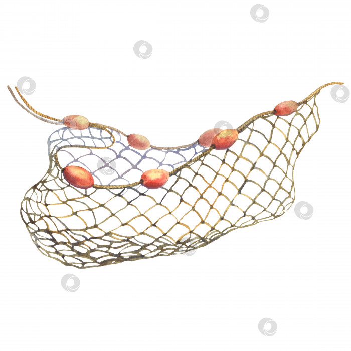 Скачать Рыболовная сеть с поплавками, акварельная иллюстрация, выделенная на белом фоне. фотосток Ozero