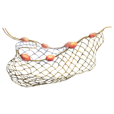 [object Object] undefined