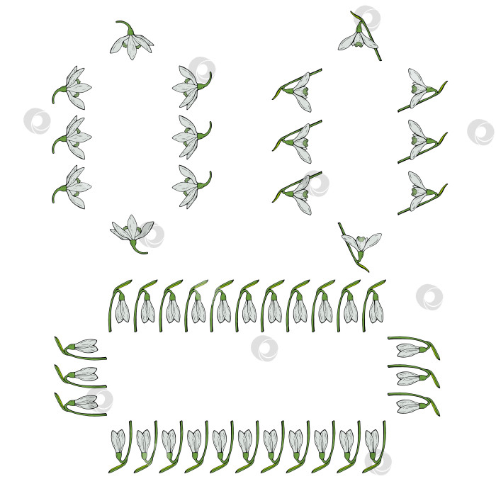 Скачать Коллекция с квадратной рамкой с волшебными подснежниками на белом фоне. Векторное изображение. фотосток Ozero