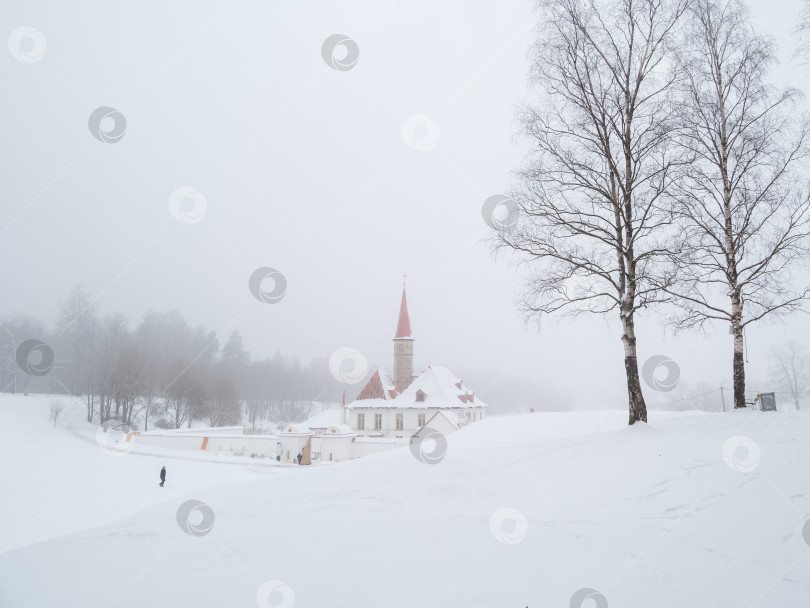 Скачать Гатчинский приоратский дворец зимой фотосток Ozero