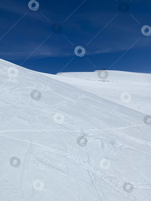 Скачать Белое на голубом фотосток Ozero