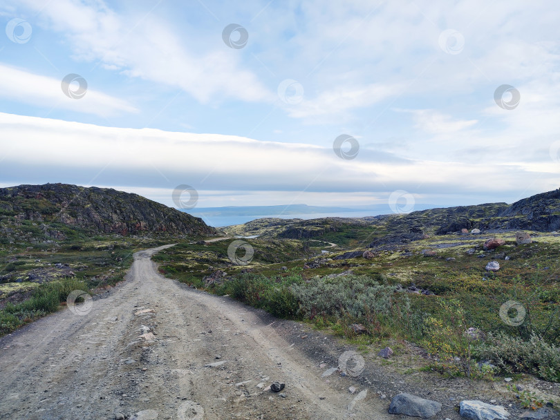 Скачать Дорога к морю фотосток Ozero