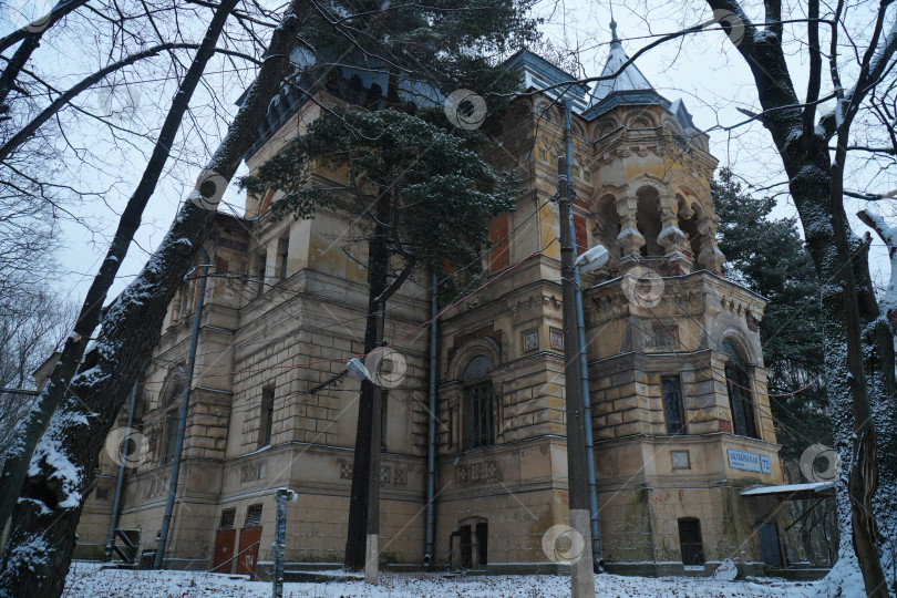 Скачать Россия, Санкт-Петербург - 01.01.2025 Дача Чернова (усадьба Сосновка) фотосток Ozero