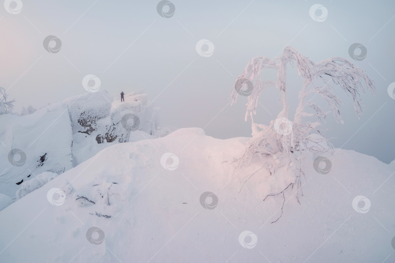 Скачать человек стоит на вершине белоснежной горы фотосток Ozero