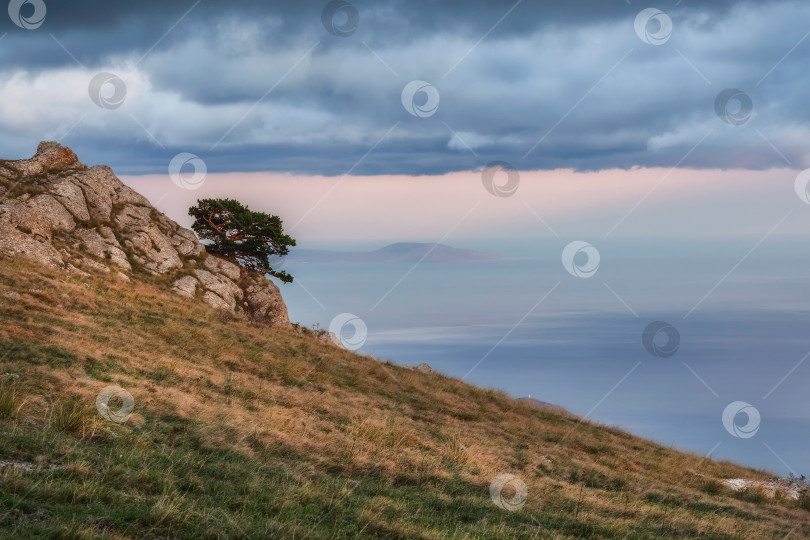 Скачать Диагональный склон с единственным деревом в сумерках. фотосток Ozero