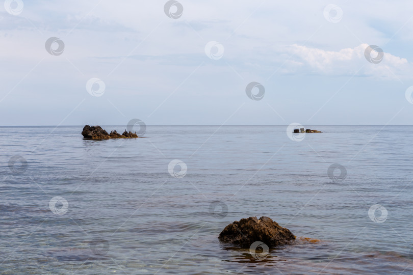 Скачать Небольшие скалы в воде с птицами фотосток Ozero