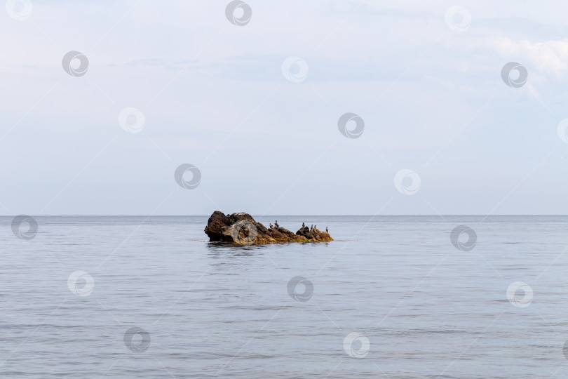 Скачать Небольшие скалы в воде с птицами фотосток Ozero