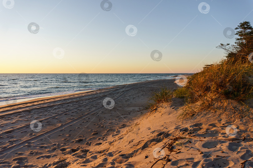 Скачать Морское побережье в лучах заходящего солнца. Песчаный пляж Балтийского моря фотосток Ozero