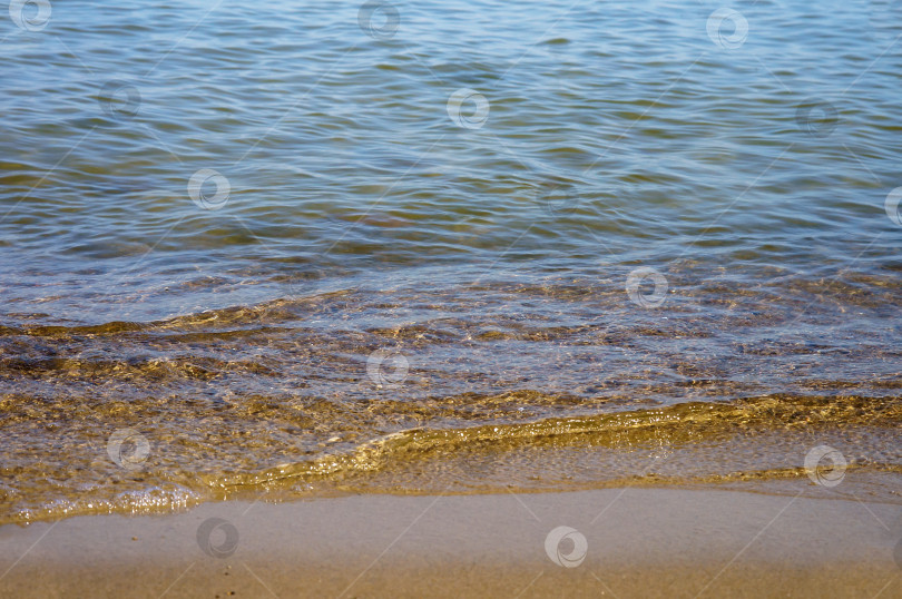 Скачать Водный фон. Прозрачная-пречистая вода. Море или озеро фотосток Ozero