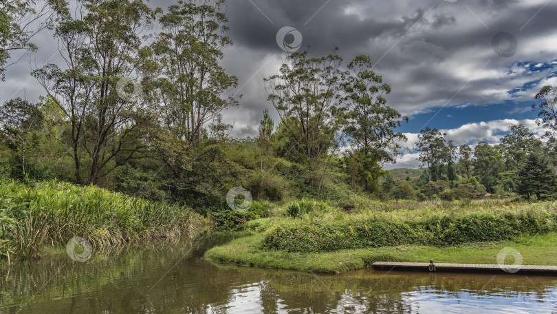 Скачать Спокойная река в тропическом лесу. Русло реки изгибается. фотосток Ozero