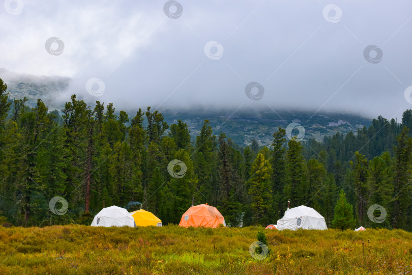 Скачать палатки, туман фотосток Ozero