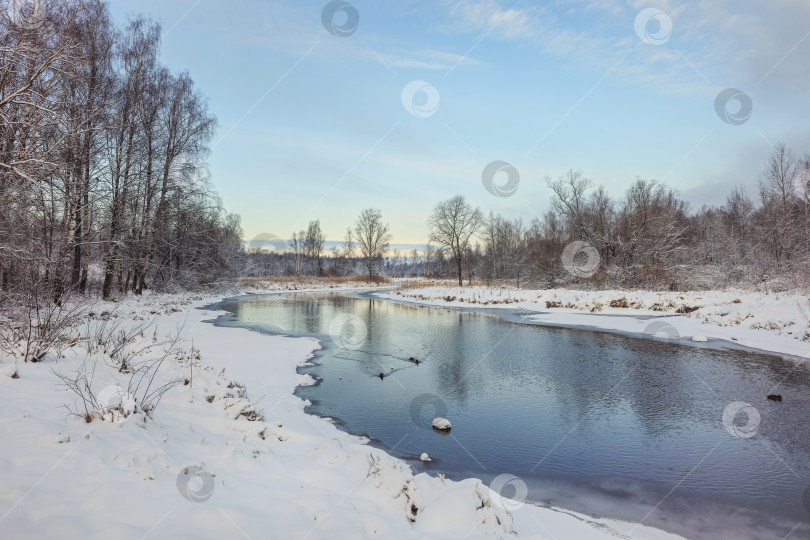 Скачать Удивительный весенний пейзаж с рекой в лесу. фотосток Ozero