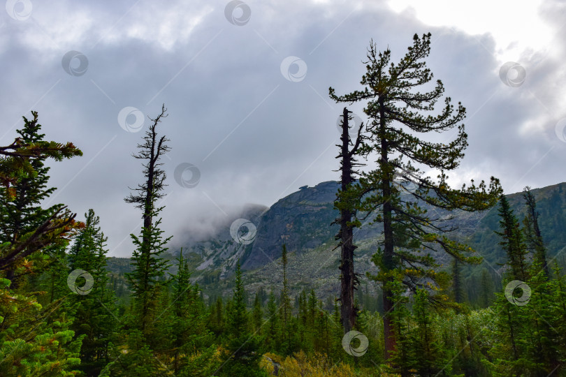 Скачать Висячий камень, горная тайга фотосток Ozero