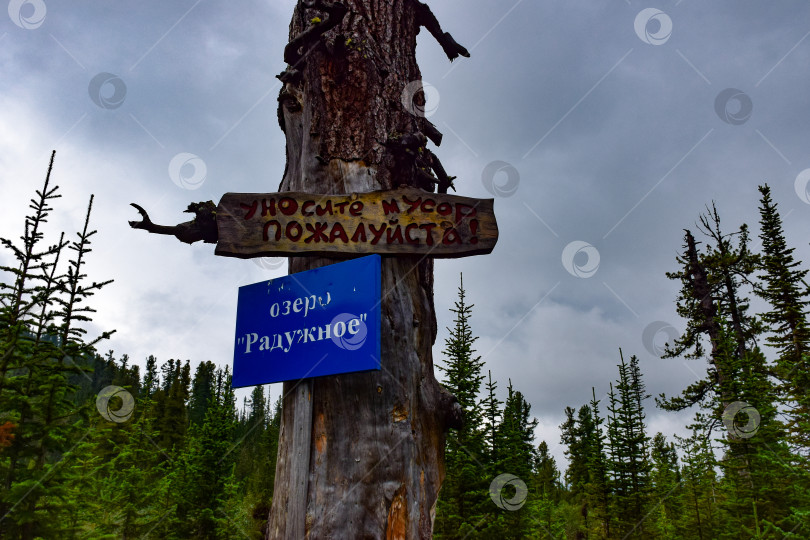 Скачать Природный парк Ергаки, Красноярский край, Россия, указатели на стволе старого дерева, 25.08.2019 фотосток Ozero