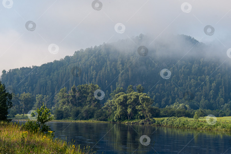 Скачать Ренка Белая фотосток Ozero