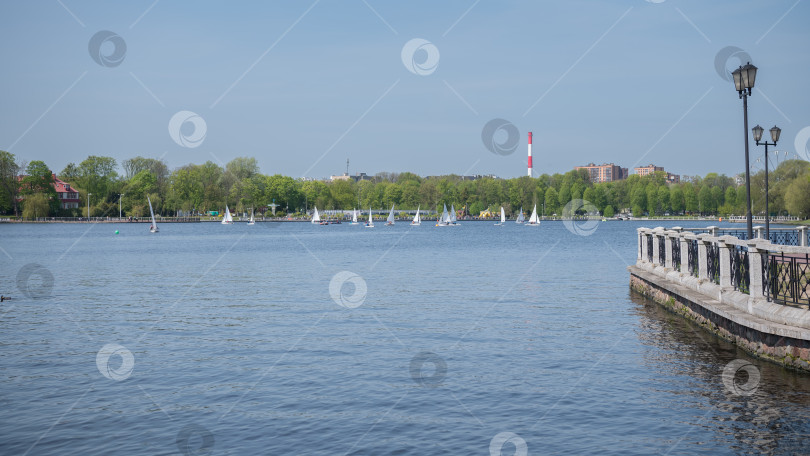 Скачать Калининград, Россия, 04.29.2024: парусники на реке фотосток Ozero