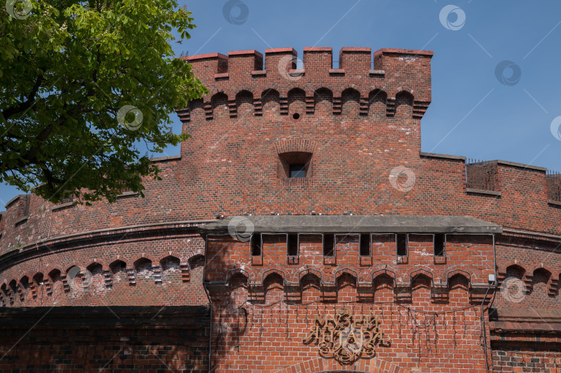 Скачать Калининград, Россия, 04.29.2024: фасад здания фотосток Ozero