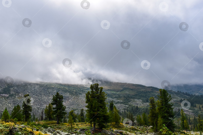 Скачать Горный пейзаж фотосток Ozero