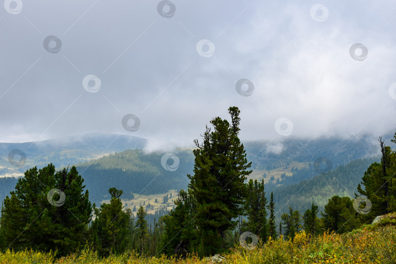 Скачать Горный пейзаж фотосток Ozero