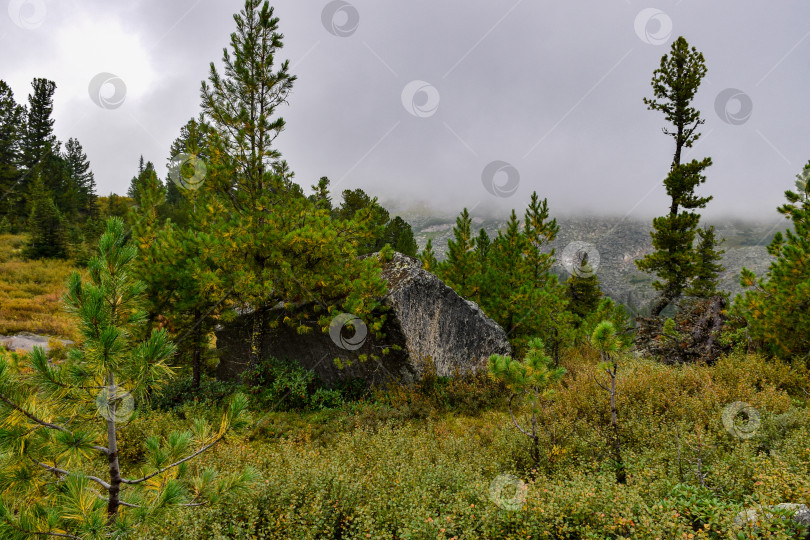 Скачать Горный пейзаж фотосток Ozero