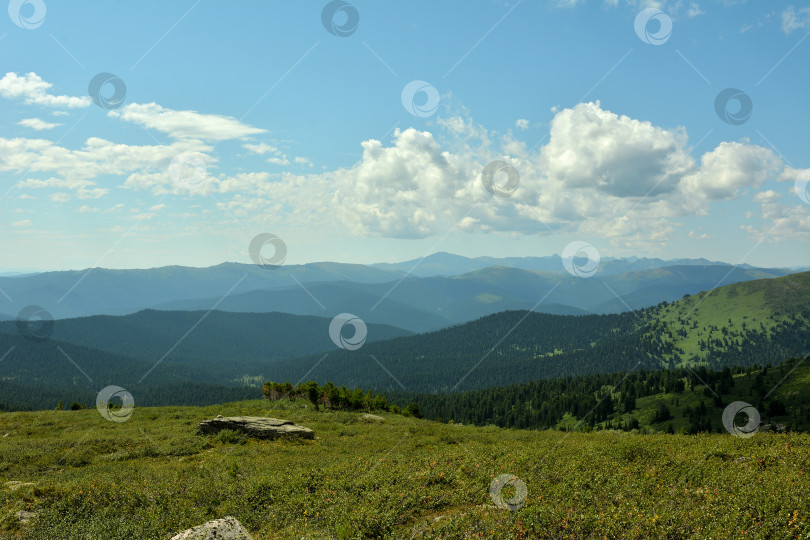 Скачать Широкая, плоская поляна, заросшая густой травой, на вершине пологой горы, возвышающейся над хребтами под облачным летним небом. фотосток Ozero