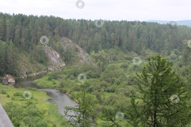 Скачать Заповедная река фотосток Ozero