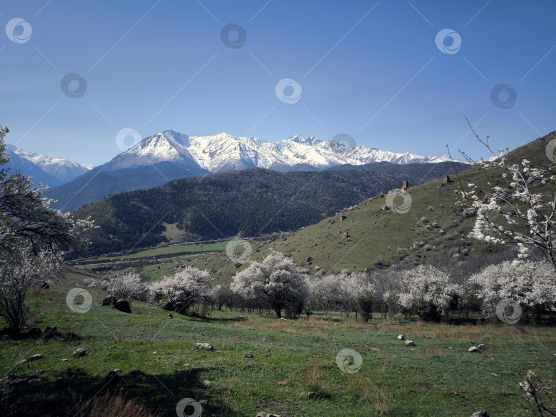 Скачать Живописная весенняя сцена фотосток Ozero