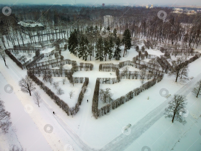 Скачать "Куртина грибок" - лабиринт из кустов в Александровском парке фотосток Ozero