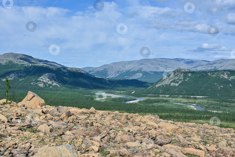 Скачать Река Собь на Полярном Урале. фотосток Ozero