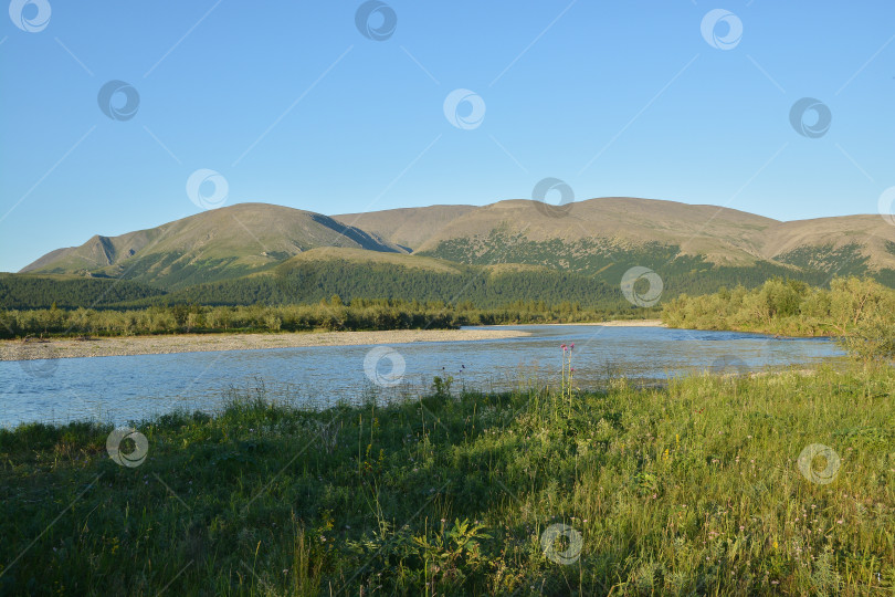 Скачать Река Собь на Полярном Урале. фотосток Ozero