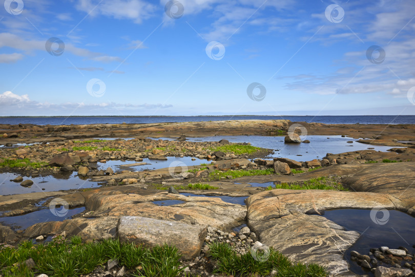 Скачать Побережье Белого моря. фотосток Ozero