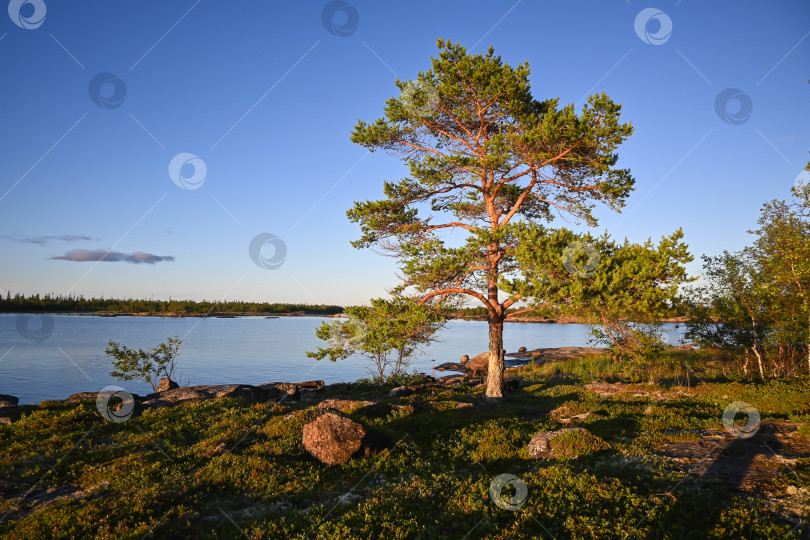 Скачать Побережье Белого моря. фотосток Ozero