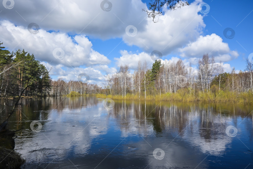 Скачать Лесная река в мае. фотосток Ozero