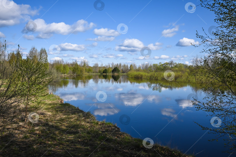 Скачать Лесная река в мае. фотосток Ozero